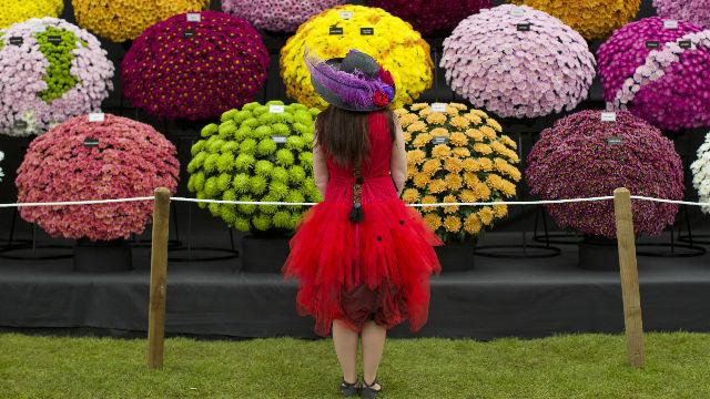 Chelsea Flower Show; week-end londres; welondres; wee-end  londres